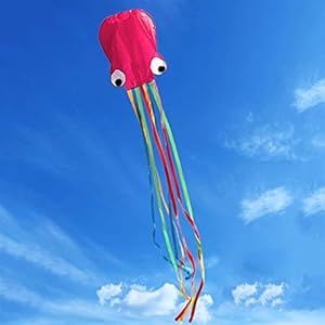Duurzaam 3d 4m Single Line Stunt Octopus Power Sport Flying Kite met handvatlijn Kids Outdoor Sports Entertainment…