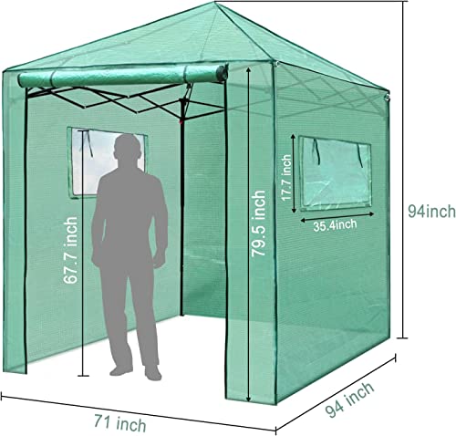 Pexfix 8'X 8' Portable Walk-In Greenhouse For Outdoor & Indoor, Easy To Assemble Pop Up Grow Greenhouses With Sturdy Pe Cover And Roll-Up Windows & Door For Flowers, Fruits, Herbs Growing #TOP5
