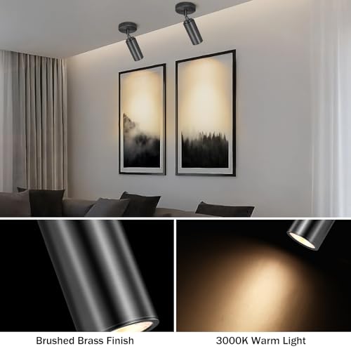 Matte Black Ceiling Spotlight, Hardwired LED Ceiling Spot Light Indoor, Flush Mounted Monopoint Ceiling Light, Modern Directional Spot Lights, Adjustable Spotlight Fixtures