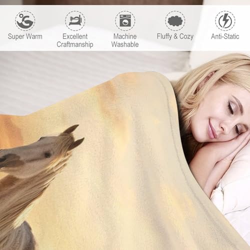 Couverture de balcon et camping couvre-lit cheval 130x150 - 4