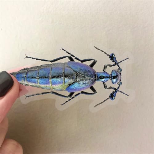 Image of 50PCS Cartoon Insects Stickers Aesthetic PET Transparent Insect Decal Waterproof Decorative Decals for Scrapbook DIY Crafts Album Bullet Journal Planner Water Bottles Laptop Phone (Insect)
