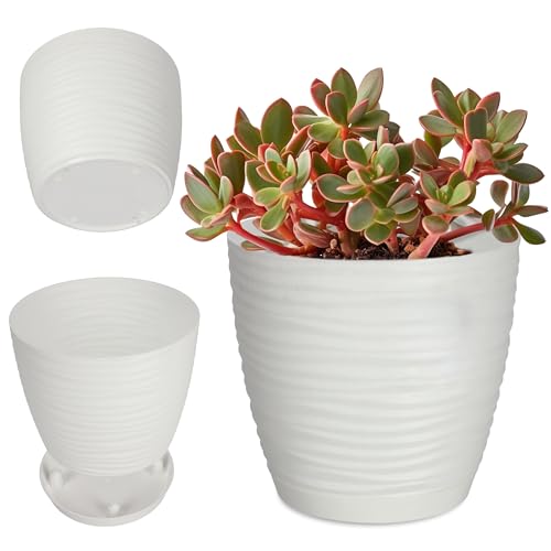 KADAX Maceta con plato, maceta para interiores, maceta ligera de plástico, maceta para flores, plantas, hogar, habitación, maceta (15 cm, blanco)
