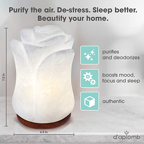 D'aplomb 100% Authentic Natural Himalayan Salt Lamp; Hand Carved Flower Rose Rare White Crystal Rock Salt From Himalayan Mountains; Dimmer Cord; 8 Lbs #TOP4