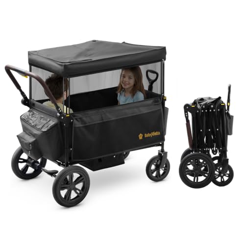 BabyVista Stroller Wagon