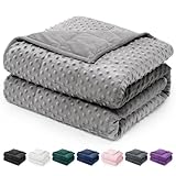 Wemore Weighted Blanket for Adults Queen Size 15 lbs, Minky Dot Cooling Heavy Blankets, Cozy Soft Washable Throw Blanket with Glass Beads, Grey 60 x 80 inches