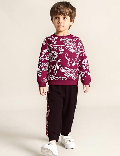 Boy Clothes Dinosaur Print Sweatshirt Jogging Pants Boys Outifts3