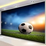 3D Fotomurale Murales Pallone da Calcio Carta da Parati Panoramica 300x210 cm Campo di Calcio Sportivo Fotomurali Tessuto Non Tessuto Decorazione Parete Poster Camere da Letto Pareti Murale w.302