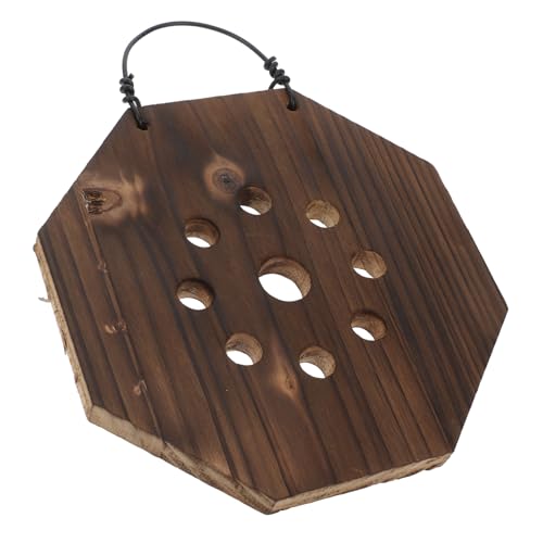 GAROZATION Support Mural pour Fougère Corne De Cerf Planteur Vertical pour Jardin Intérieur pour Orchidées Et Plantes Succulentes Bois Carbonisé Léger Et