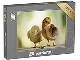 puzzleYOU: Puzzle 1000 Teile „Zwei süße kleine Küken“ – aus der Puzzle-Kollektion Hühner & Küken