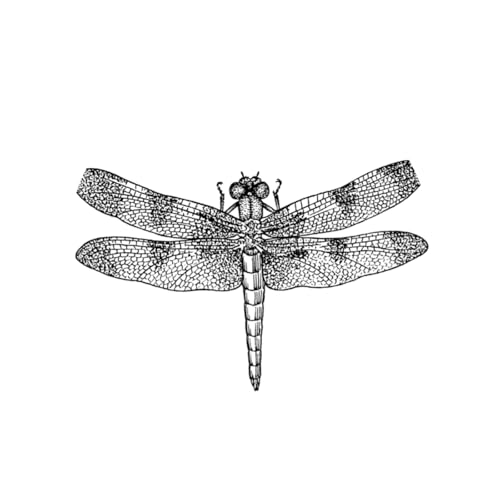 Unconvetional Espionage