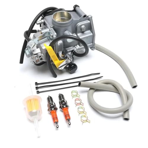 Carburateur TRX300EX FourTrax pour la randonnée et le tout-terrain 250