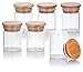 JUVITUS 2 oz Clear Glass Tall Borosilicate Jar with Bamboo Silicone Sealed Lid (6 Pack)