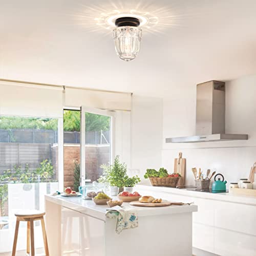 Lamomo Ceiling Light Fixture, Black Hallway Light Fixtures Ceiling With Clear Glass Shade, Modern Bedroom Ceiling Light Fixtures Flush Mount For Living Room, Bedroom, Dining Room, Kitchen, Hallway #TOP4