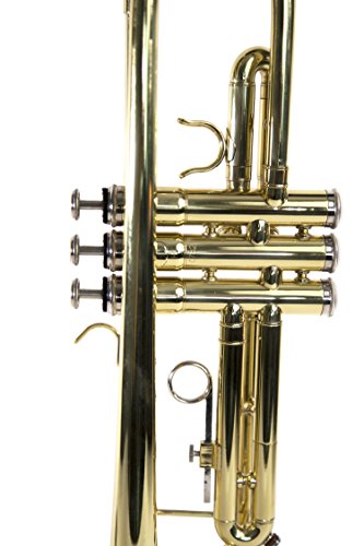Lexington Standard Brass Lacquered Bb Student Intermediate Trumpet Monel Pistons with Full Accessories and Kit