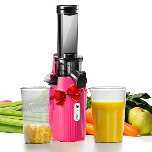 Ventray Ginnie Mini Cold Press Juicer, Small Slow Masticating Juicer for Vegetables and Fruits, High Juice Yield, Easy to Clean, Space-Saving, Fit for Personal/Travel/Picnic/Office - Pink