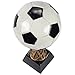 Juvale Soccer Trophy - Sports Award Trophy - Trophy Award Recognition for Soccer Players, Coaches for Kids Sports Tournaments, Competitions – Soccer Ball, 12.5 x 5.5 x 5.5 Inches