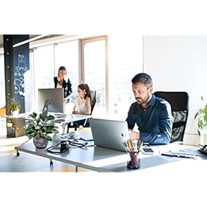 AlphaAcc Artificial Plants Potted Real Looking Small Faux Plant with Rustic Black Cement Planter for Kitchen Office Desk Bookshelf Decor (Ficus Plant) AlphaAcc Artificial Plants Potted Real Looking Small Faux Plant with Rustic Black Cement Planter for Kitchen Office Desk Bookshelf Decor Ficus Plant