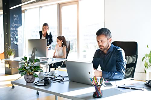 AlphaAcc-Artificial-Plants-Potted-Real-Looking-Small-Faux-Plant-with-Rustic-Black-Cement-Planter-for-Kitchen-Office-Desk-Bookshelf-Decor-Ficus-Plant AlphaAcc Artificial Plants Potted Real Looking Small Faux Plant with Rustic Black Cement Planter for Kitchen Office Desk Bookshelf Decor Ficus Plant