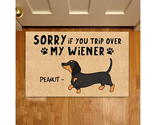 Felpudo De Bienvenida Nombre De Perro Salchicha Personalizado Alfombra De Baño Duradero Atrapar Suciedad Felpudo De Entrada para Jardines Cuarto Garajes 40X60Cm