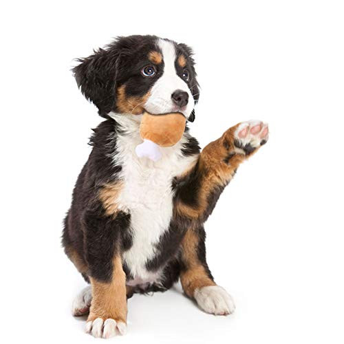 Brinquedo para animais de estimação, resistente a mordidas, para cães, de pelúcia, para gatos, roend