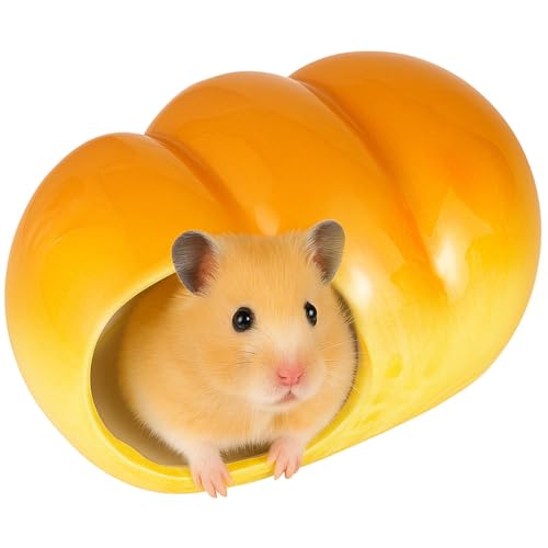 moin moin S[f nX^[ LN}  CR X ybg  nEX xbh   Q B  NbV Z~bN  p Rbyp A  Ђ   ΍  p  CG