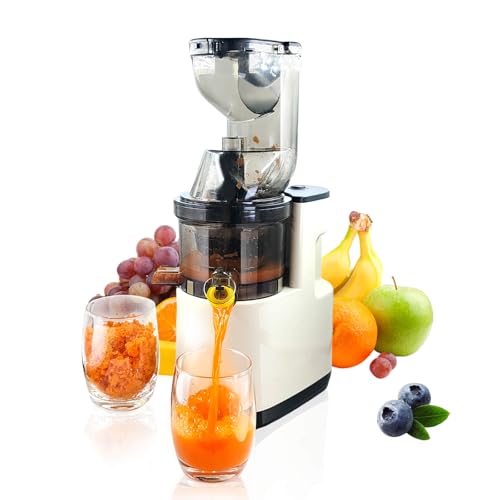 Image of Cold Press Juicer Machines Slow Masticating High Yield Multi-Functional for Home Commercial Use Wide Feed Chute Pulp Separation (white)