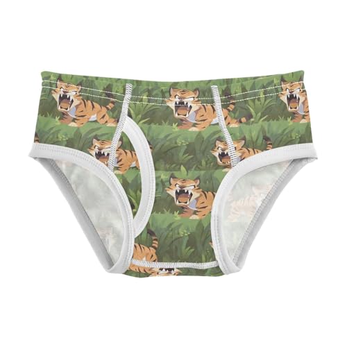 visesunny Boys Potty Training Underwear Saber-toothed Tiger Breathe Cotton Briefs Size 2T-8Y for Toddler