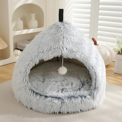 [ADSNS]  xbh CeA NbV xbg nEX J[1 58X58 h[ xbh ybgxbg ӂ pxbh ̃xbh  H~ 킢ybg eg xbh  ~xbh h[^xbh pxbh L xbh