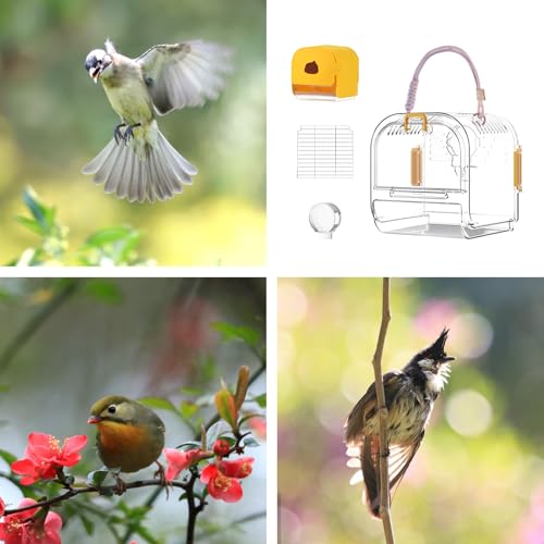 Cage d'oiseau Parakeet portable compacte avec tiroir de nettoyage intégré - 5