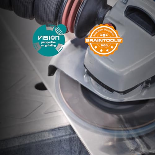 RHODIUS VISION PRO, 5 Stück Ø 115 mm K80 Fächerscheiben durchsichtig, Made in Germany, Metall Edelstahl Stahl INOX, für Winkelschleifer, Schleifscheibe, Fächerschleifscheibe