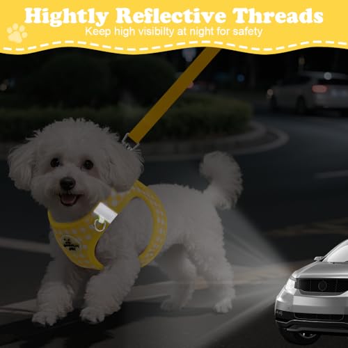 OFFCUP Hundegeschirr Leine Set für Hunde, Atmungsaktive Step-In Geschirr aus Mesh mit gepolsterter Weste Anti Zug Reflektierend Verstellbar Weich Welpengeschirr Katzengeschirr, Gelb, S