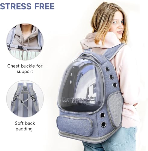 Image of Cawypety Cat Backpack Carrier, Breathable Cat Carrier Pet Backpack for Kitty Small Dog Up to 15Lbs, Transparent & Foldable Pet Carrier for Travel Hiking (Blue., M)