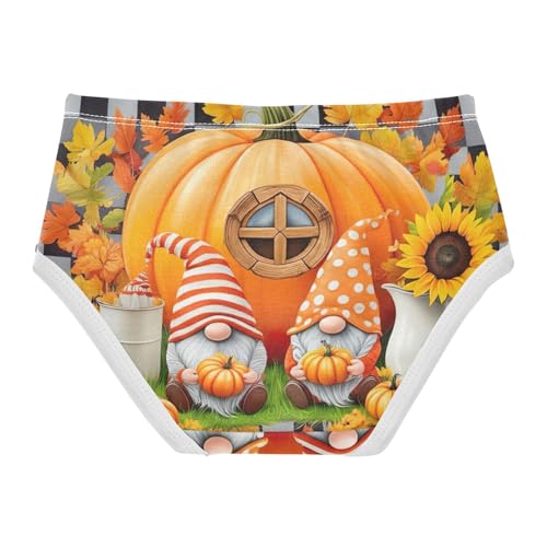 Aesthetic Girls Underwear Toddlers 2t Cotton Girl Panties Cute Cute Autumn Pumpkin Gnomes Kids Briefs Undies2