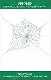 Spiders: Suspended Between Earth and Sky (Transformation Between the Realms) (Transformation Between the Realms)