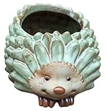 zmgmsmh Cartoon Flower Pot Hedgehog Succulent Planter with Drainage Hole Succulent Holder Cute Hedgehog Shaped Vase Pot Home Decoration for Small Succulent Plants (Small)