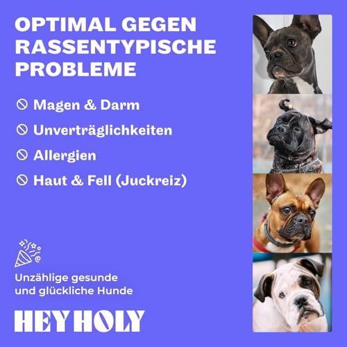 HEY HOLY Premium Trockenfutter für Bulldoggen 100% getreidefrei | 7kg Hundefutter für ausgewachsene Bulldoggen mit Lachs | Hochverträglich aus natürlichen Zutaten