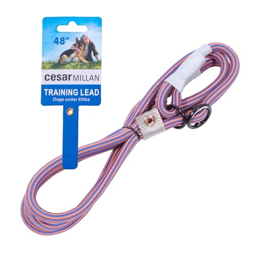 Xbv[h V[U[~ Cesar MillanyKiz 120cm 1-1.2cm yEI hbOg[i[ ďCz h~ U g[jO ^ ^ (IWu[, M[yE^pzڈ30kg)