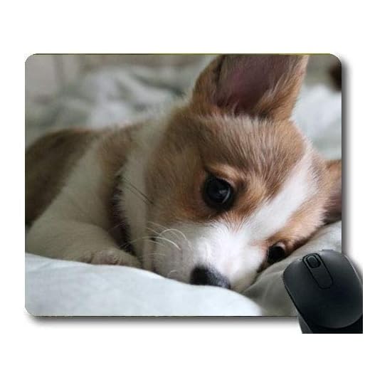 Gaming Mousepads,Half a Dog corgi,Precision seaming,durable Mouse pad
