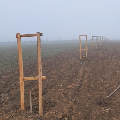 #19: Stač&iacute; nově s&aacute;zet jen 50 cm od sousedn&iacute;ho pozemku? Nebo je to trochu složitěj&scaron;&iacute;?
