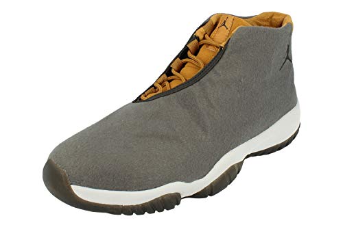 Nike Men’s Fitness Shoes, Multicoloured Dark Grey Dark Grey Wheat Pure Platinum 001, 10