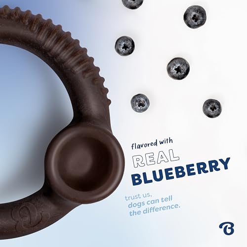 Image of Benebone Ring Dog Chew Toy for Aggressive Chewers, Blueberry, Medium | Durable, Super Chewer, Dog Bones, Long-Lasting, A Size for Every Dog, Keeps Them Busy