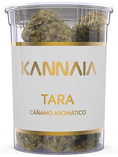 KANNAIA - **NUEVO** TARA etiqueta ORO 5 g - ENERGÍA Y VITALIDAD - Cáñamo aromático