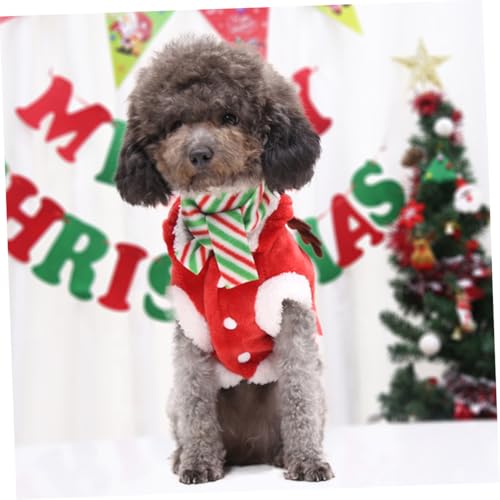 Disfraz de Navidad para Perro con Bufanda XXL miniatura 6