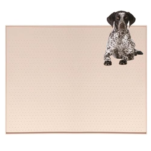 Lifetips W[}EV[gwA[hE|C^[ gC}`FX^[eA ybggC}bg VR h ~ 􂦂  L V[gh~ g[p t[Oی ybggC}bg VR}bg ΍ gC