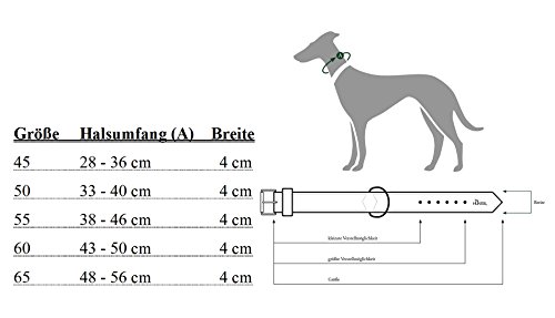 Hunter Hundehalsband Neopren Reflect, Größe 45, braun