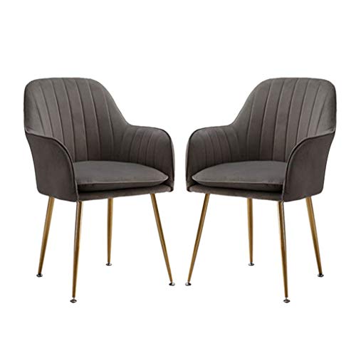SJIALEN Soft Velvet Dining Chair,Sturdy Metal Legs for Office Lounge Dining Kitchen Bedroom Study Lounge Chairs Kitchen Chair (Color : Gray-C, Size : 2pcs)