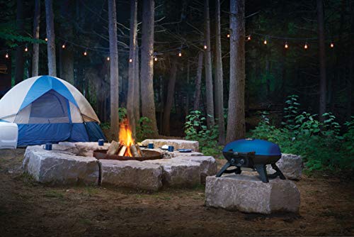 Image of Napoleon TravelQ 285 Portable Propane Gas Grill, Blue, 2 Burners, Tailgating, Camping, and Small Outdoor Spaces
