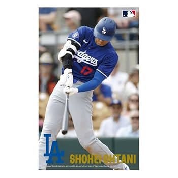 ロサンゼルス ドジャース 法被⭐︎2025開幕戦 ⭐︎大谷翔平 未使用品】MLB・ドジャース○大谷翔平○法被はっぴ○東京