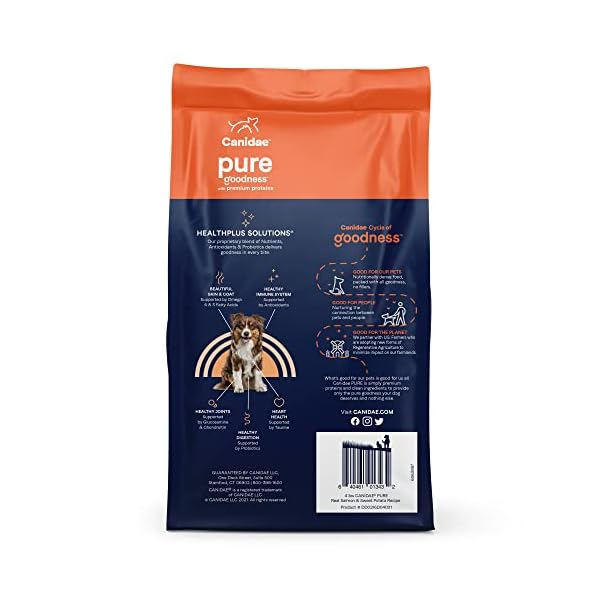 Canidae limited ingredient salmon dog food Clearance
