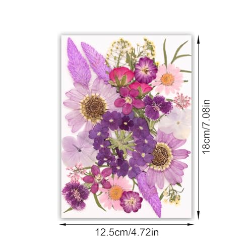 Flor natural seca prensada para resin artesanía miniatura 7
